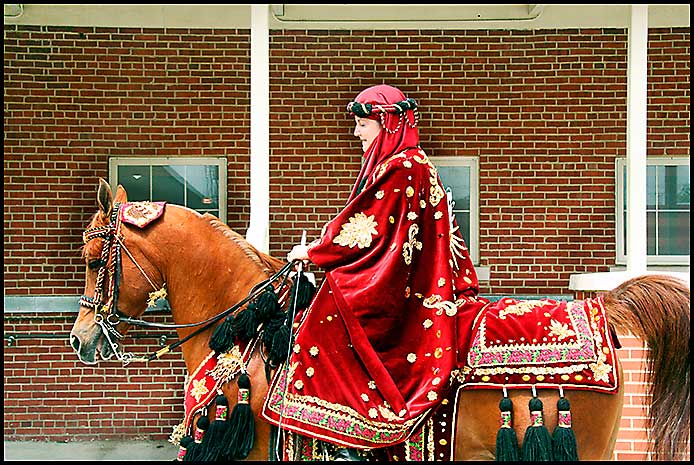 Arabian Horse Show