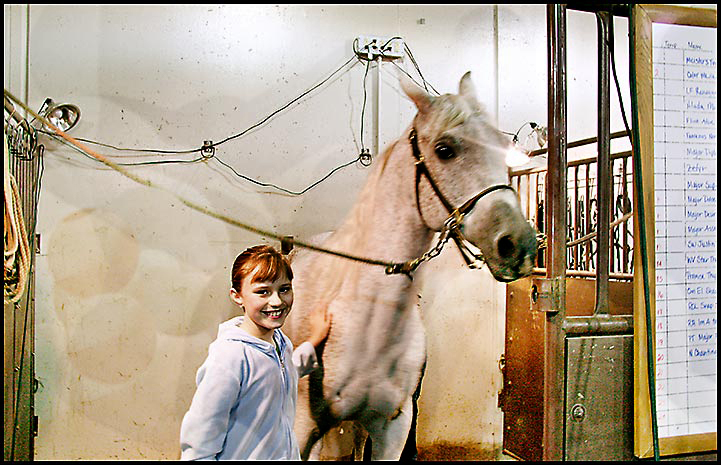 Arabian Horse Show