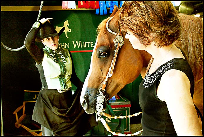 Arabian Horse Show