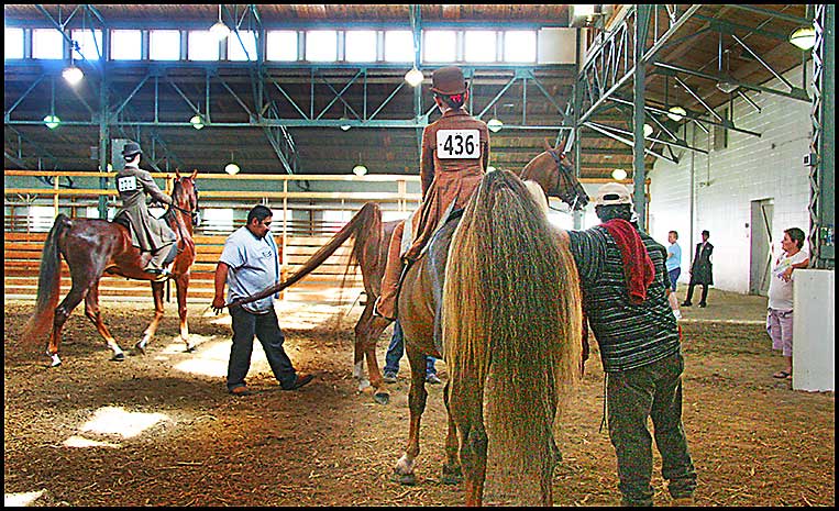 ASAW Saddlebred Horse Show