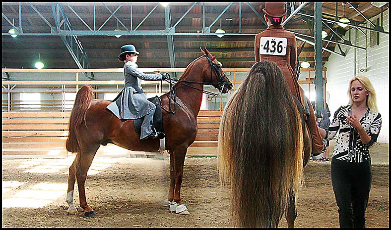 ASAW Saddlebred Horse Show