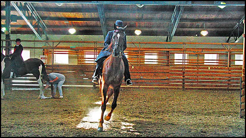 ASAW Saddlebred Horse Show