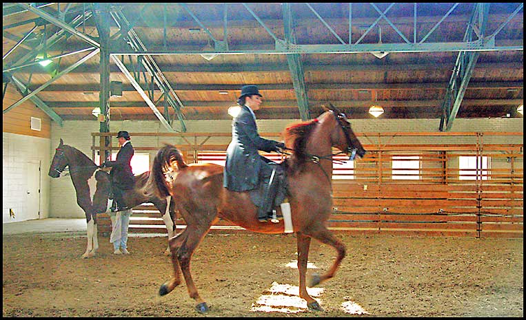 ASAW Saddlebred Horse Show