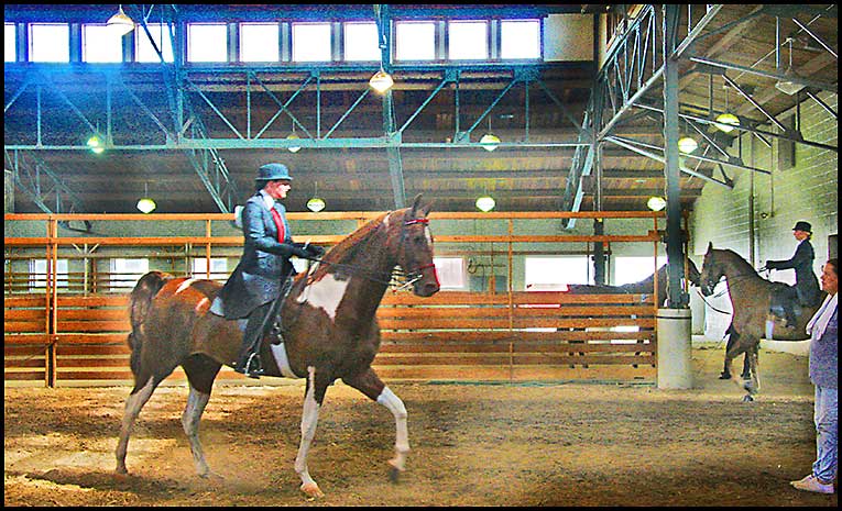 ASAW Saddlebred Horse Show