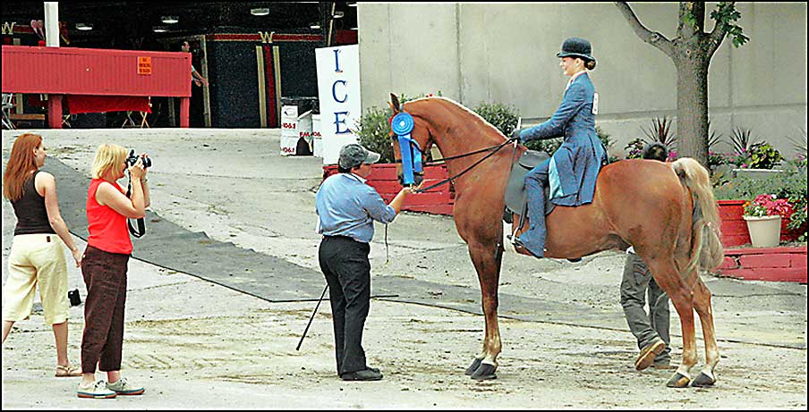 ASAW Saddlebred Horse Show