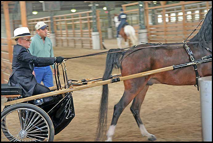 ASAW Saddlebred Horse Show