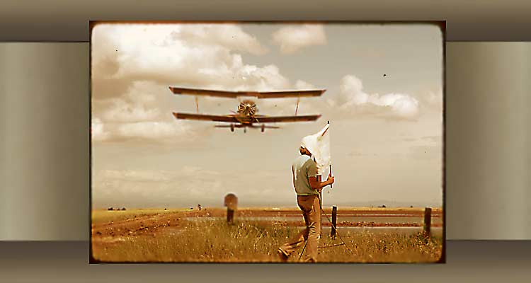 Crop duster and flagman