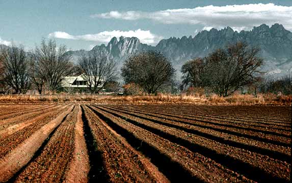 Along thr Rio Grande