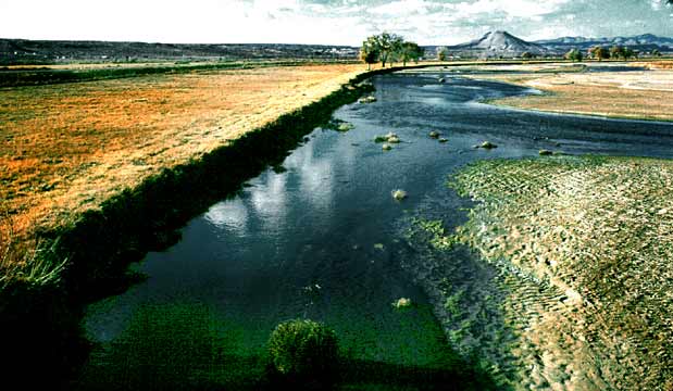 Along the Rio Grande