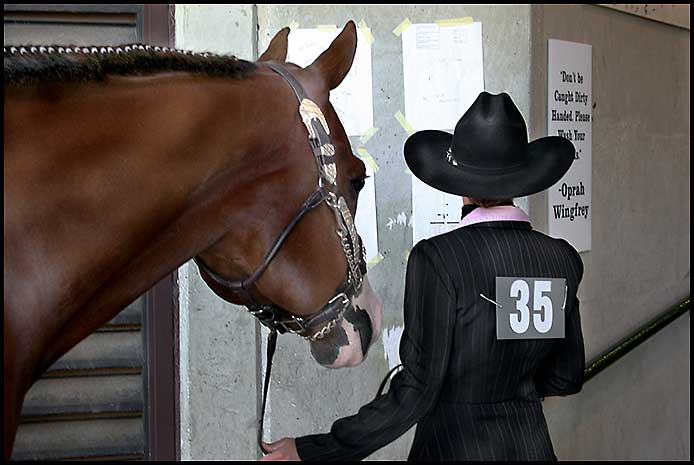 Paint Horse Show