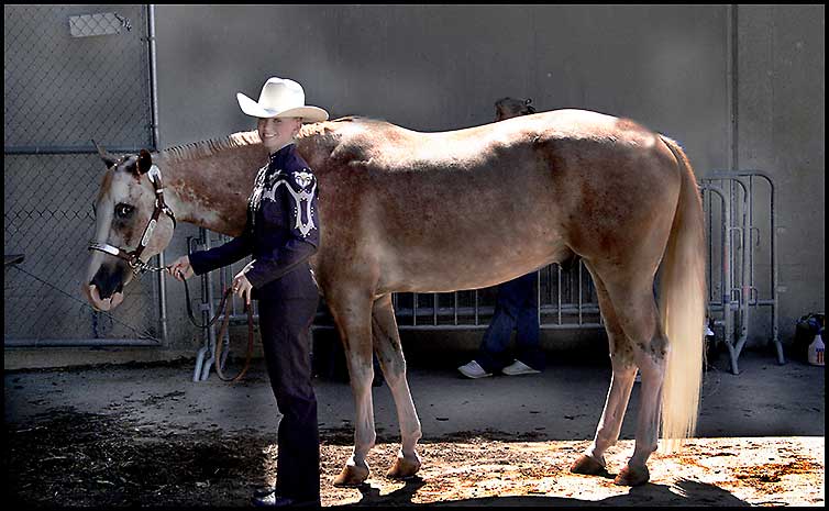 Paint Horse Show