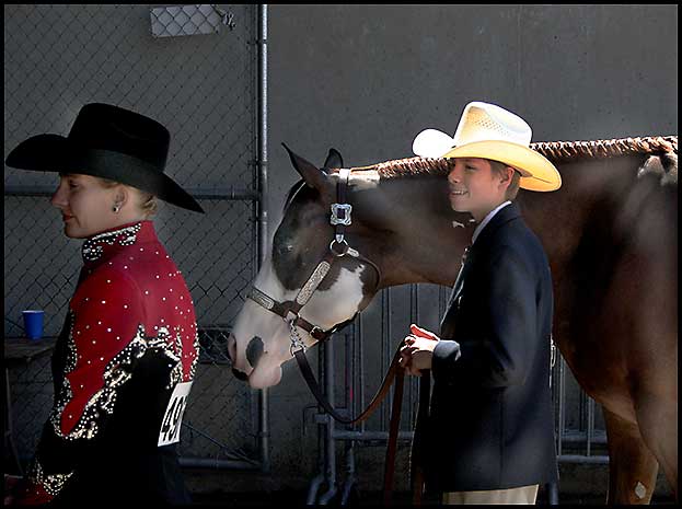 Paint Horse Show