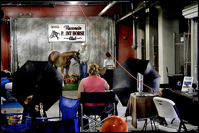 Paint Horse Show