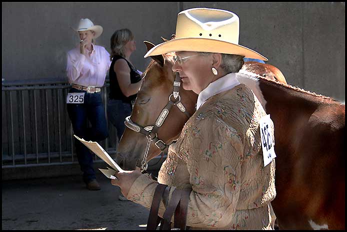 Paint Horse Show