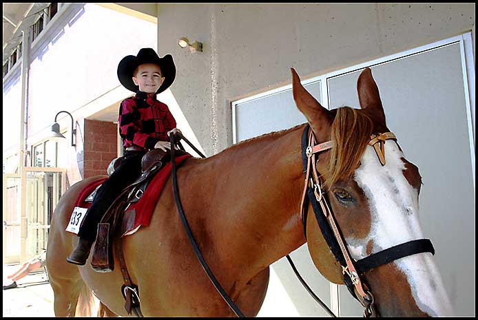 Paint Horse Show