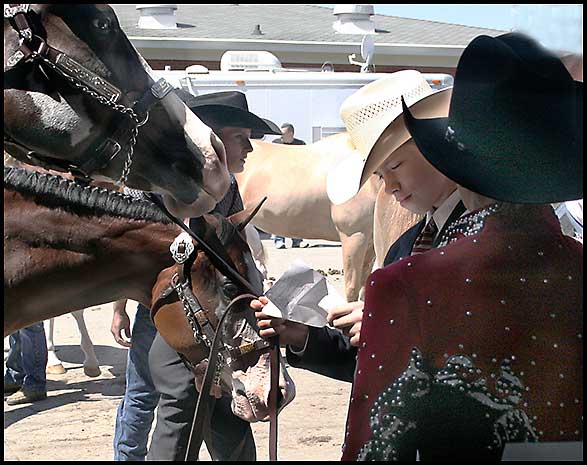 Paint Horse Show