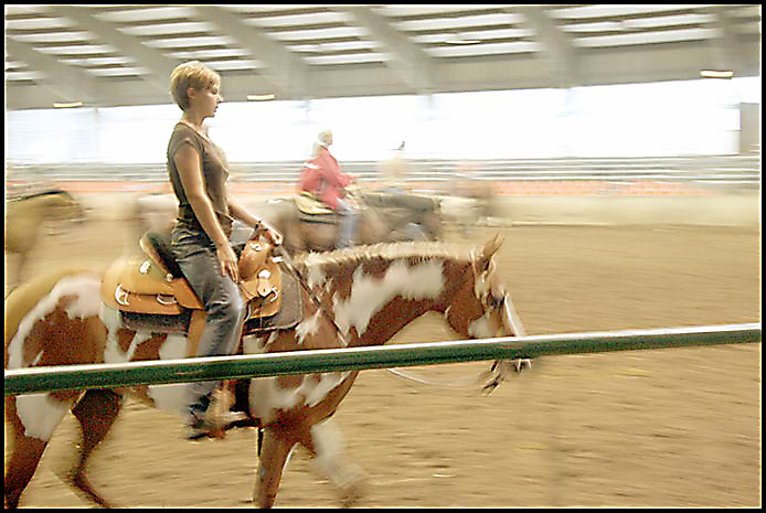 Paint Horse Show