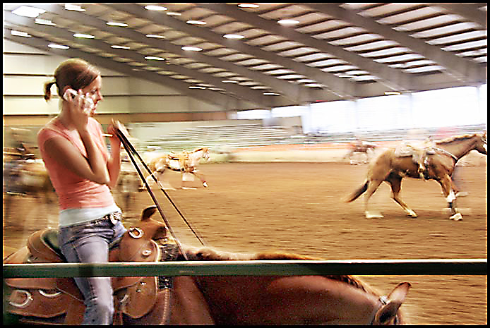 Paint Horse Show