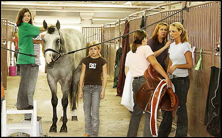 Paint Horse Show