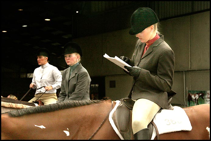 Paint Horse Show