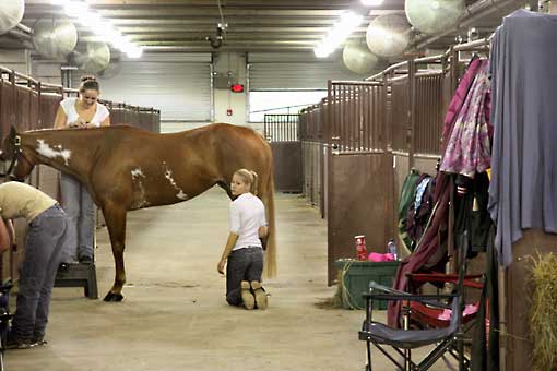 WPHC Paint Horse