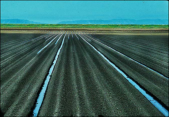 Delta Farmland