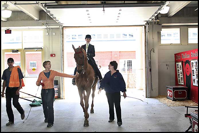 Saddlebred Horse Show