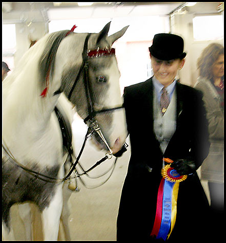 Saddlebred Horse Show