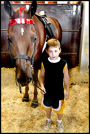 Saddlebred Horse Show