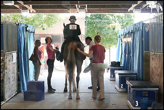 Saddlebred Horse Show