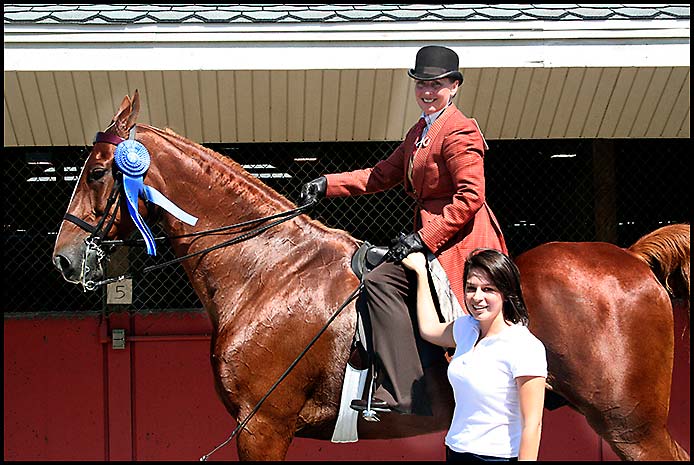 Saddlebred Horse Show