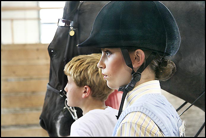 Saddlebred Horse Show