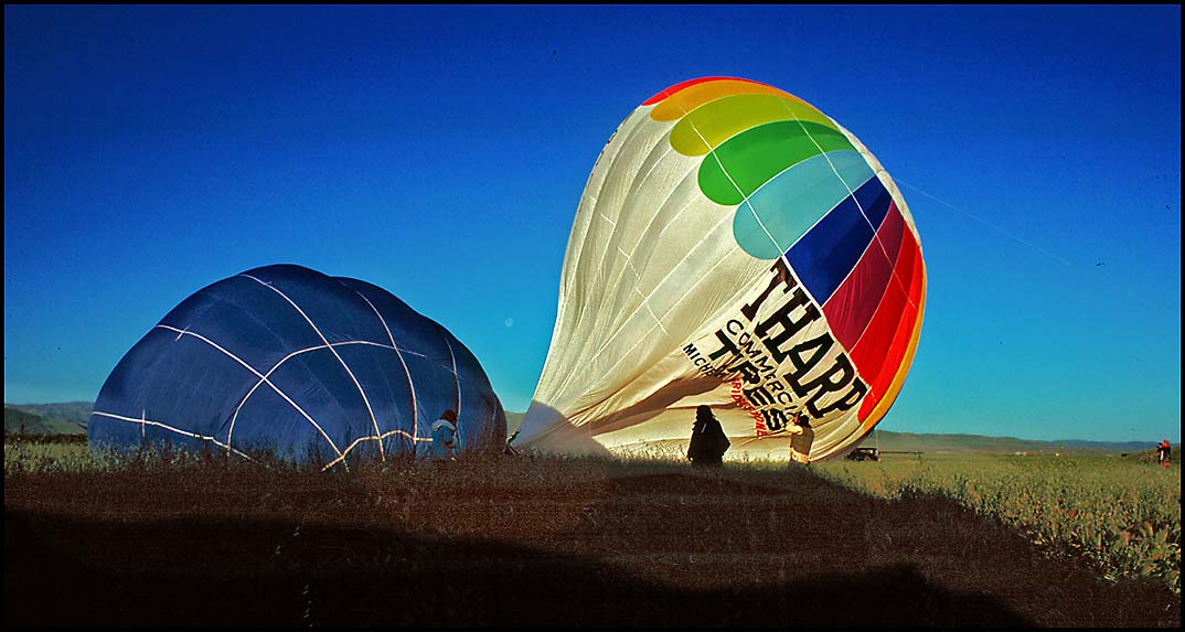 Balloons Rising