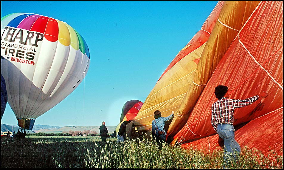 Balloons Rising