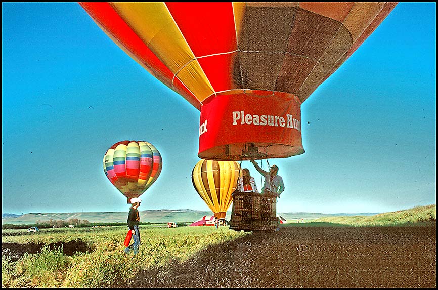 Balloons Rising