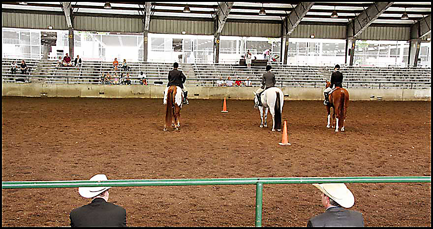 Paint Horse Show